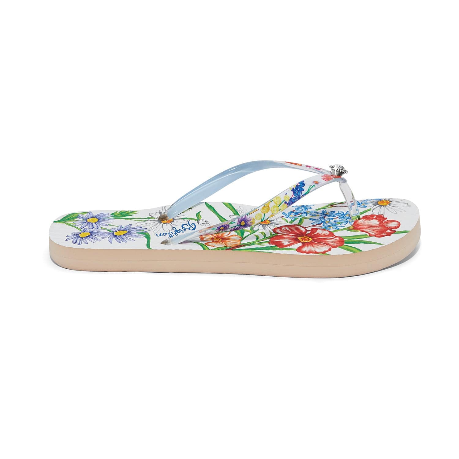 Aussie Flip Flops - Image 4